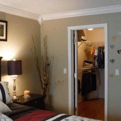 Master bedroom with walk-in closet